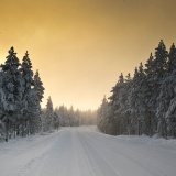 Jeris week 45 12-4790